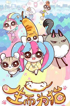 贵阳seo优化服务